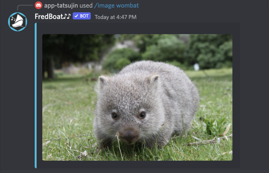 fredboat wombat
